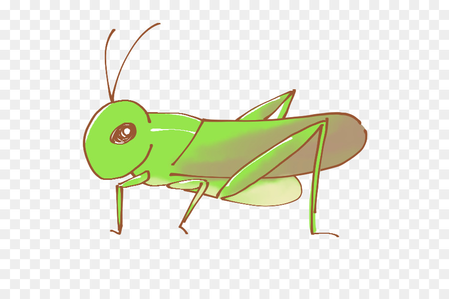 Mantis Religiosa De Dibujos Animados，Mantis PNG