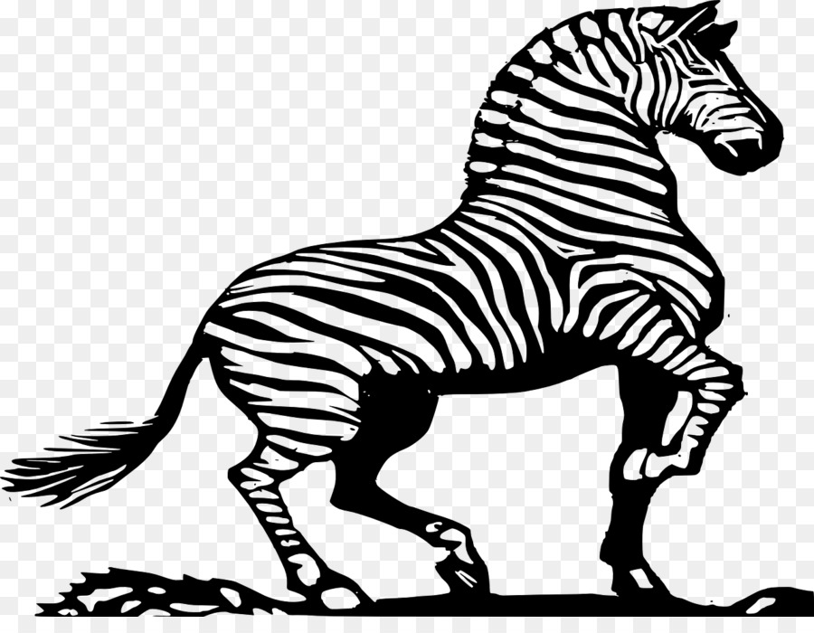 Zorse，Zebra PNG