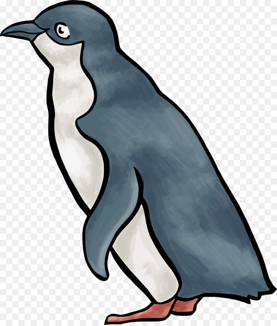 Pingüino，Pájaro PNG