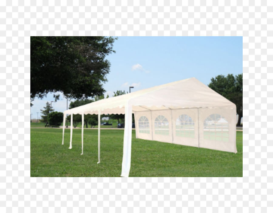 Carpa，Exterior PNG