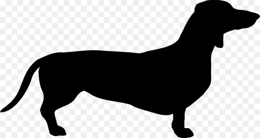 Dachshund，Silueta PNG