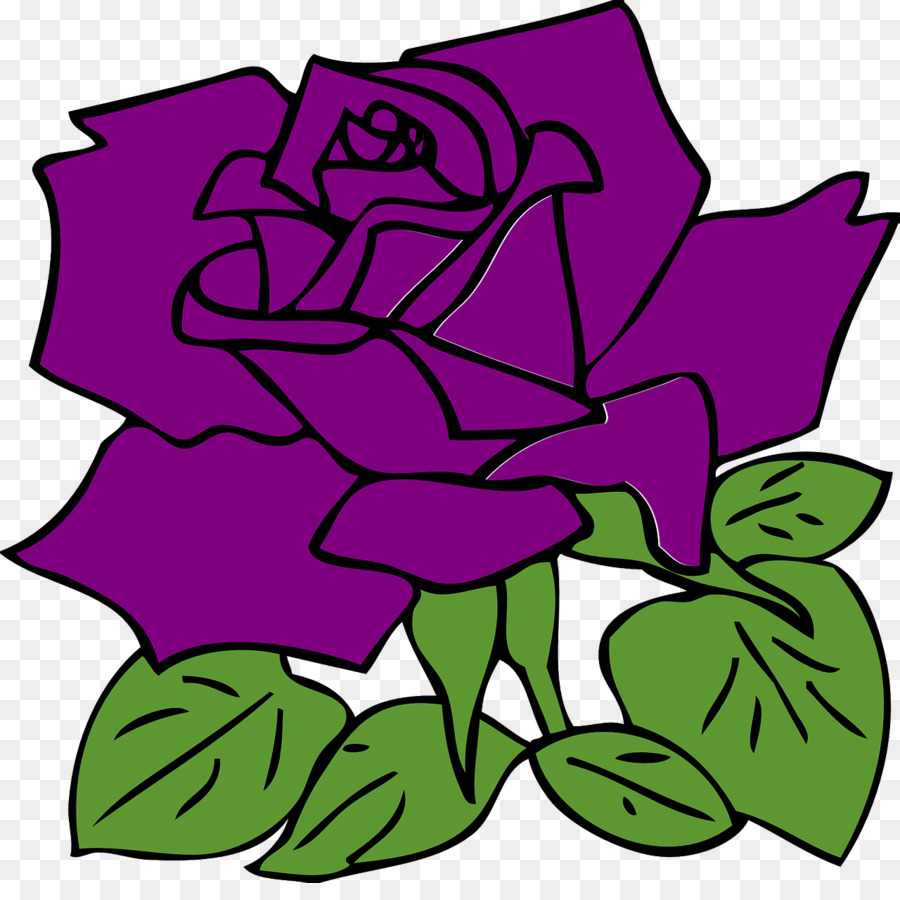 Rosa，Dibujo PNG