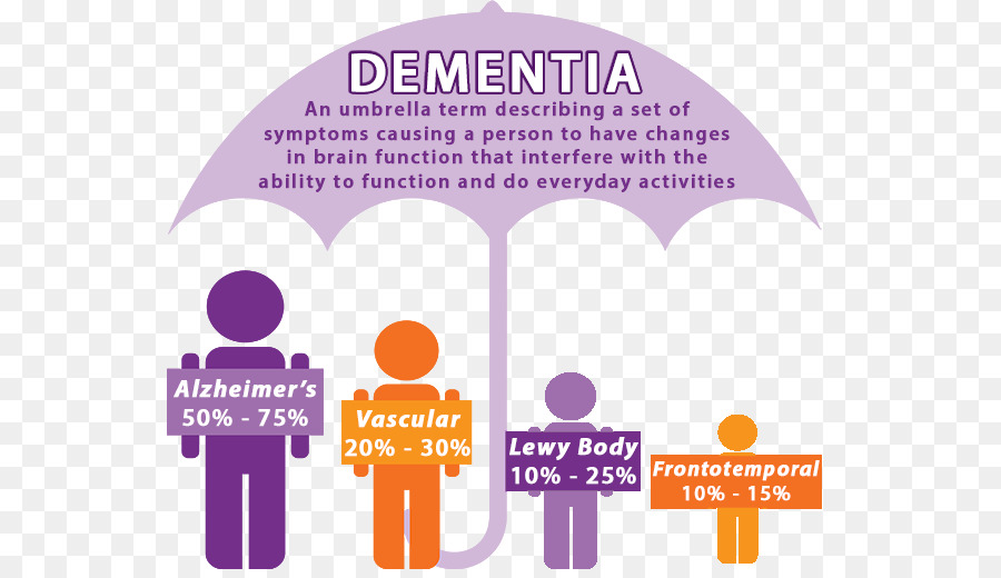 Infografía Sobre La Demencia，Cerebro PNG