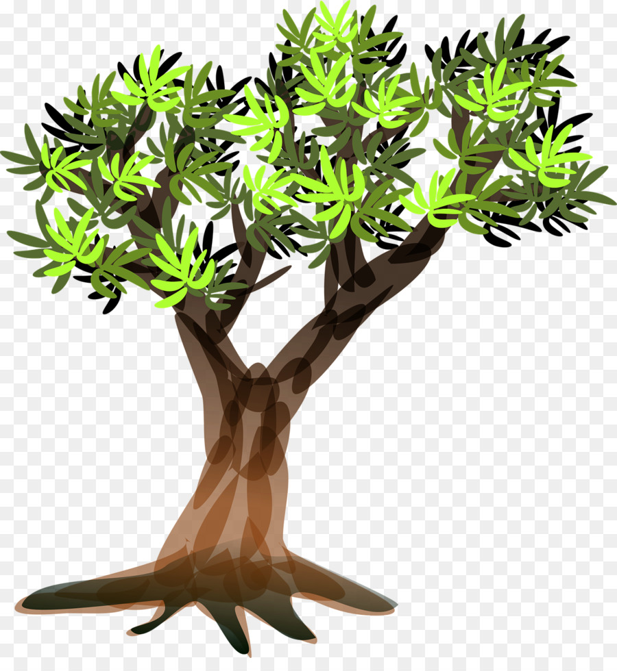 árbol，Tronco PNG