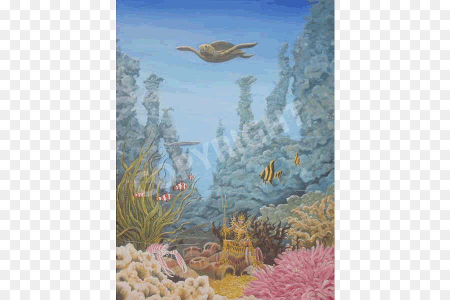 Arrecife De Coral，Biología Marina PNG