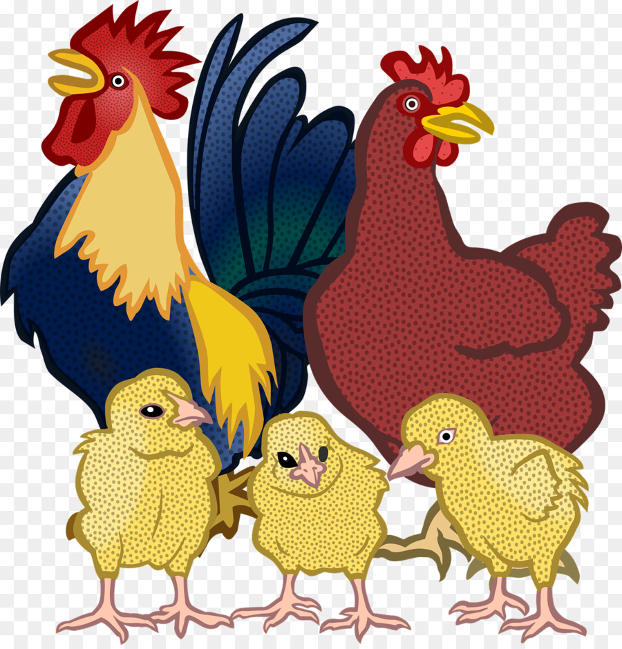 Familia De Pollos，Gallo PNG