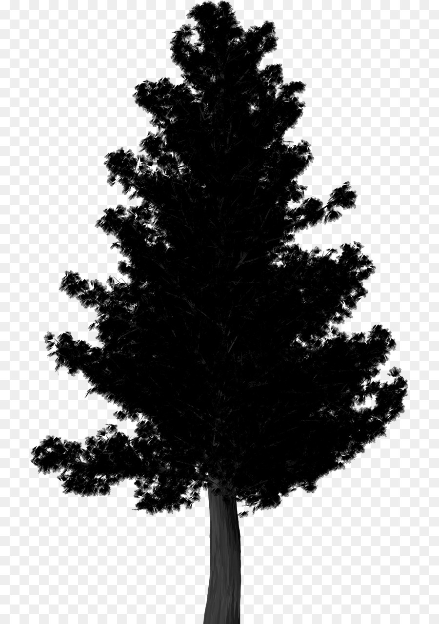 Silueta De Arbol，Negro PNG