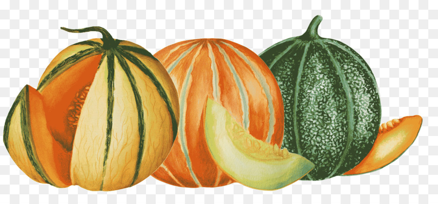 Cantalupo，Gotas De Miel PNG