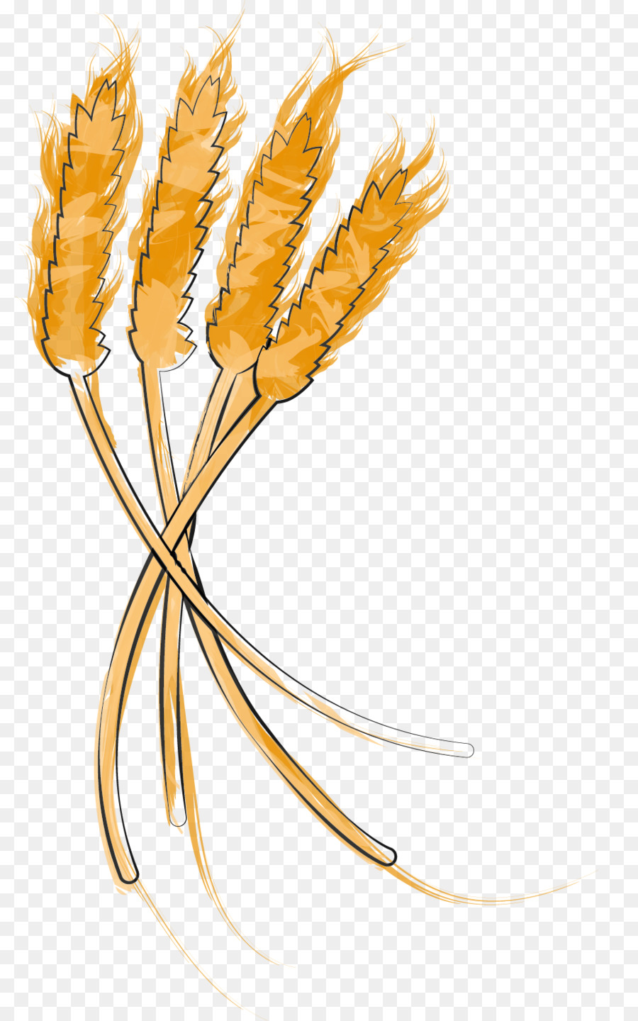 Trigo，Grano PNG