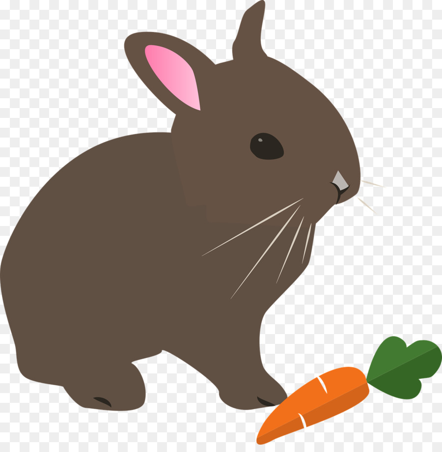 Hare，Conejito De Pascua PNG