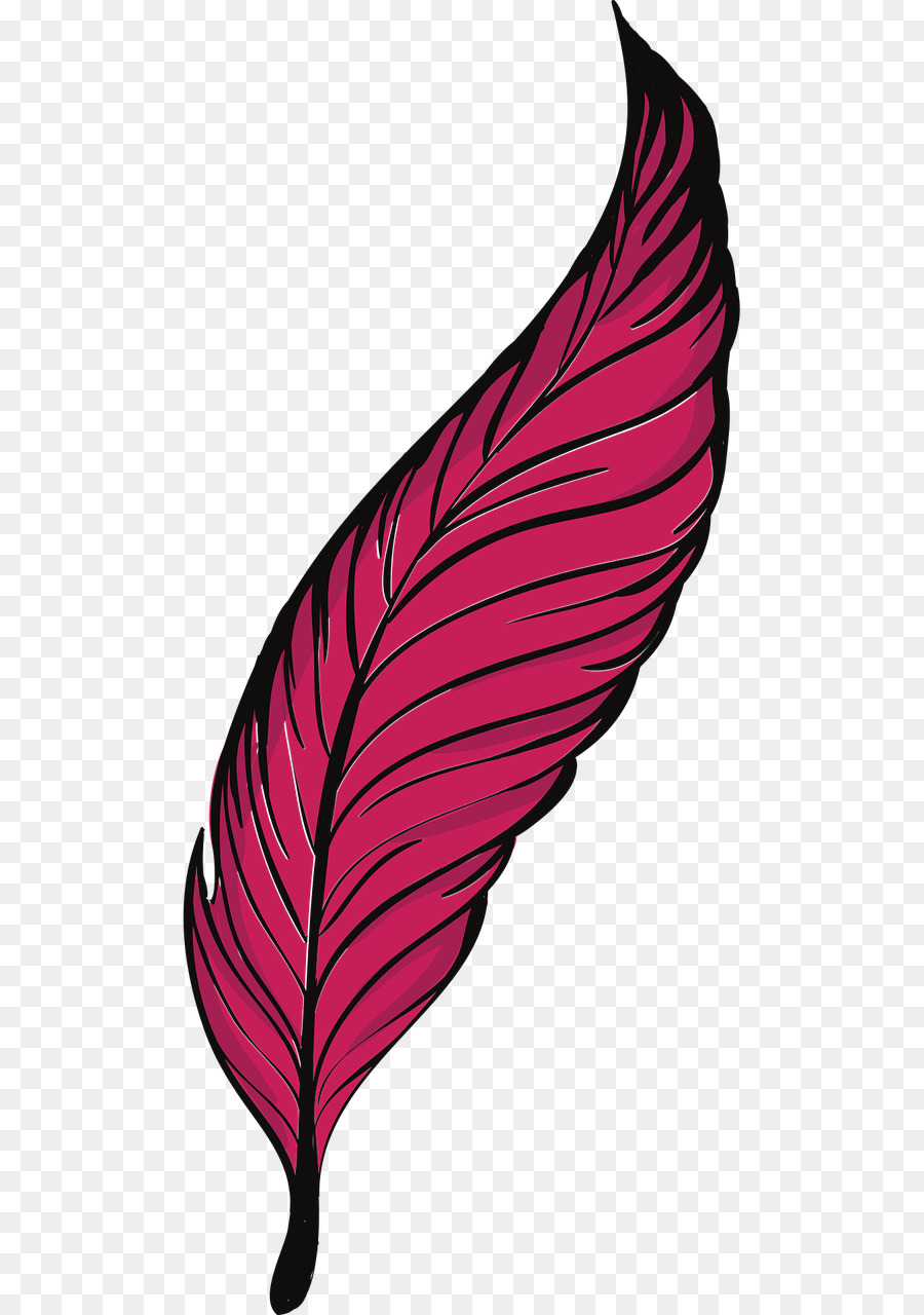 Pluma Rosa，Suave PNG