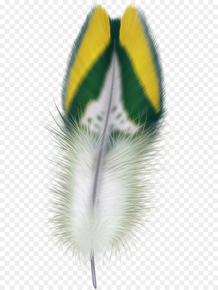 Pluma，Pájaro PNG