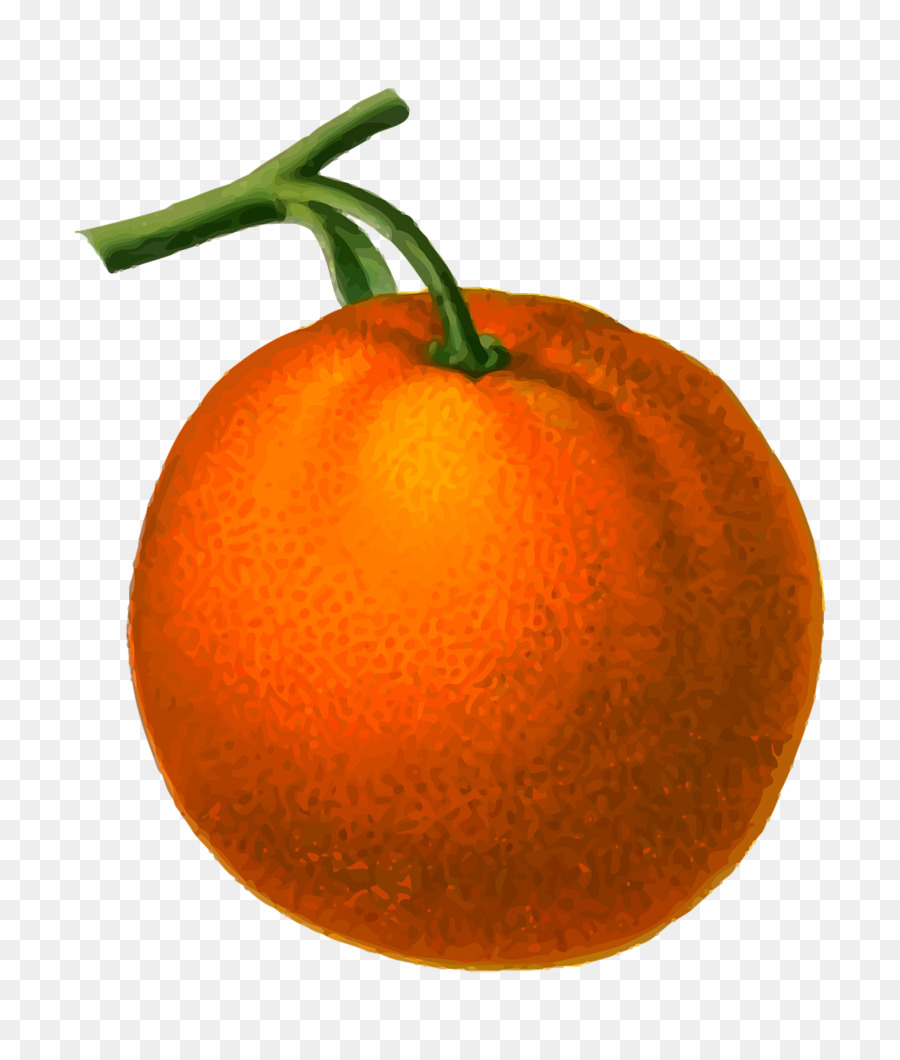 Clementine，Mandarina PNG