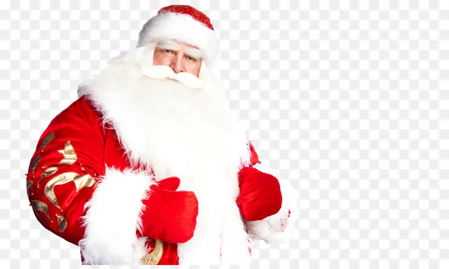 Santa Claus，Ded Moroz PNG