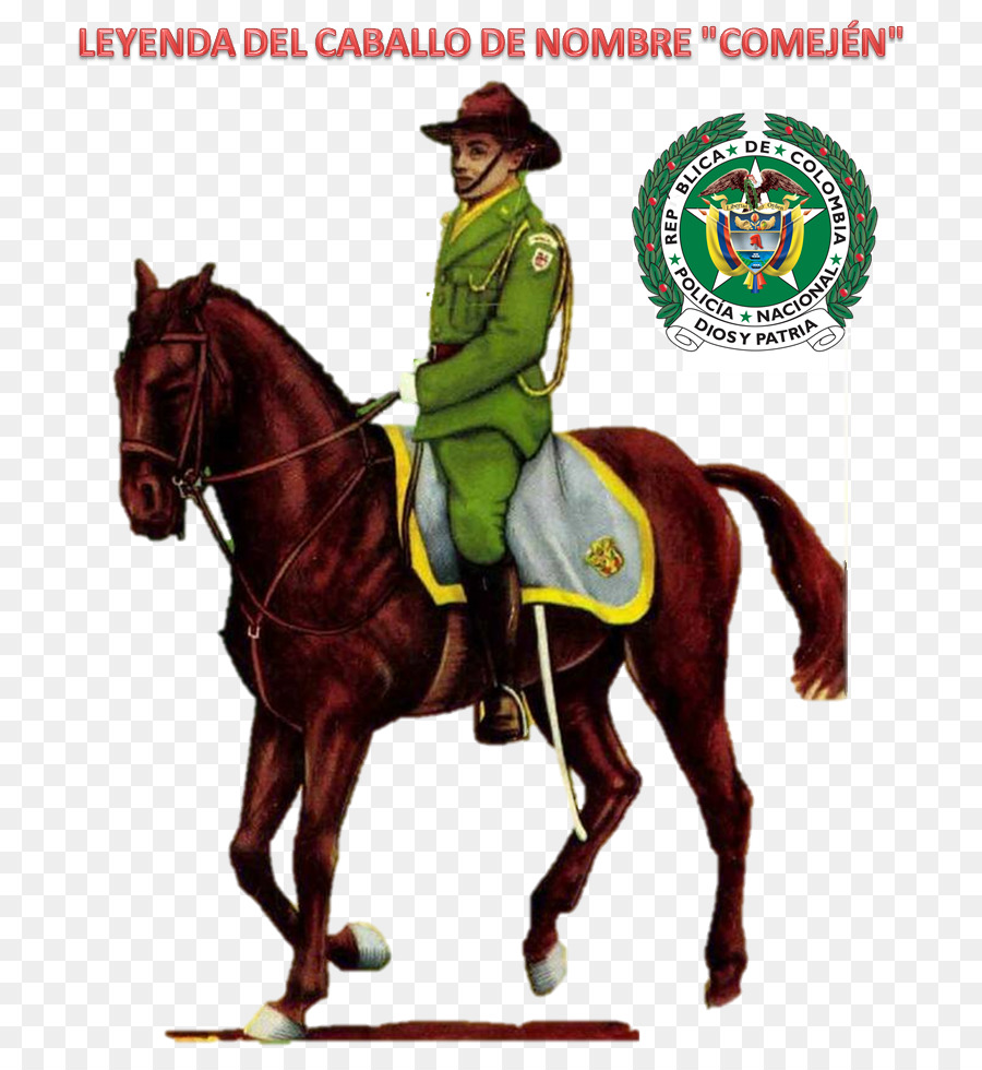 La Policía Nacional De Colombia，Caballo PNG