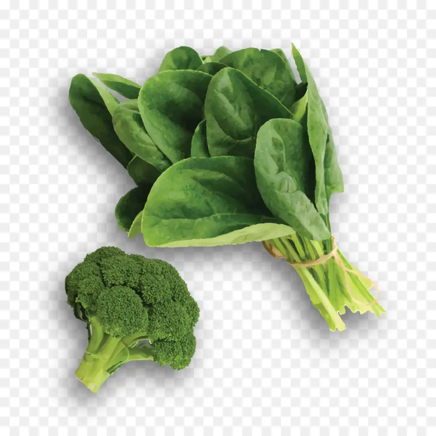 Espinacas，Collard Greens PNG