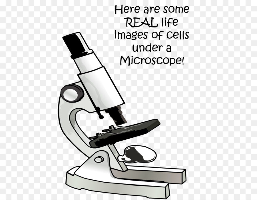 Microscopio，Laboratorio PNG