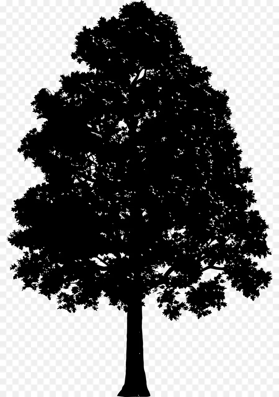 Silueta De árbol Negro，Naturaleza PNG