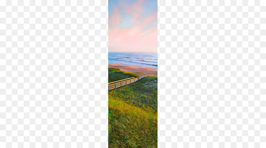 Costa，Ponte Vedra Beach PNG