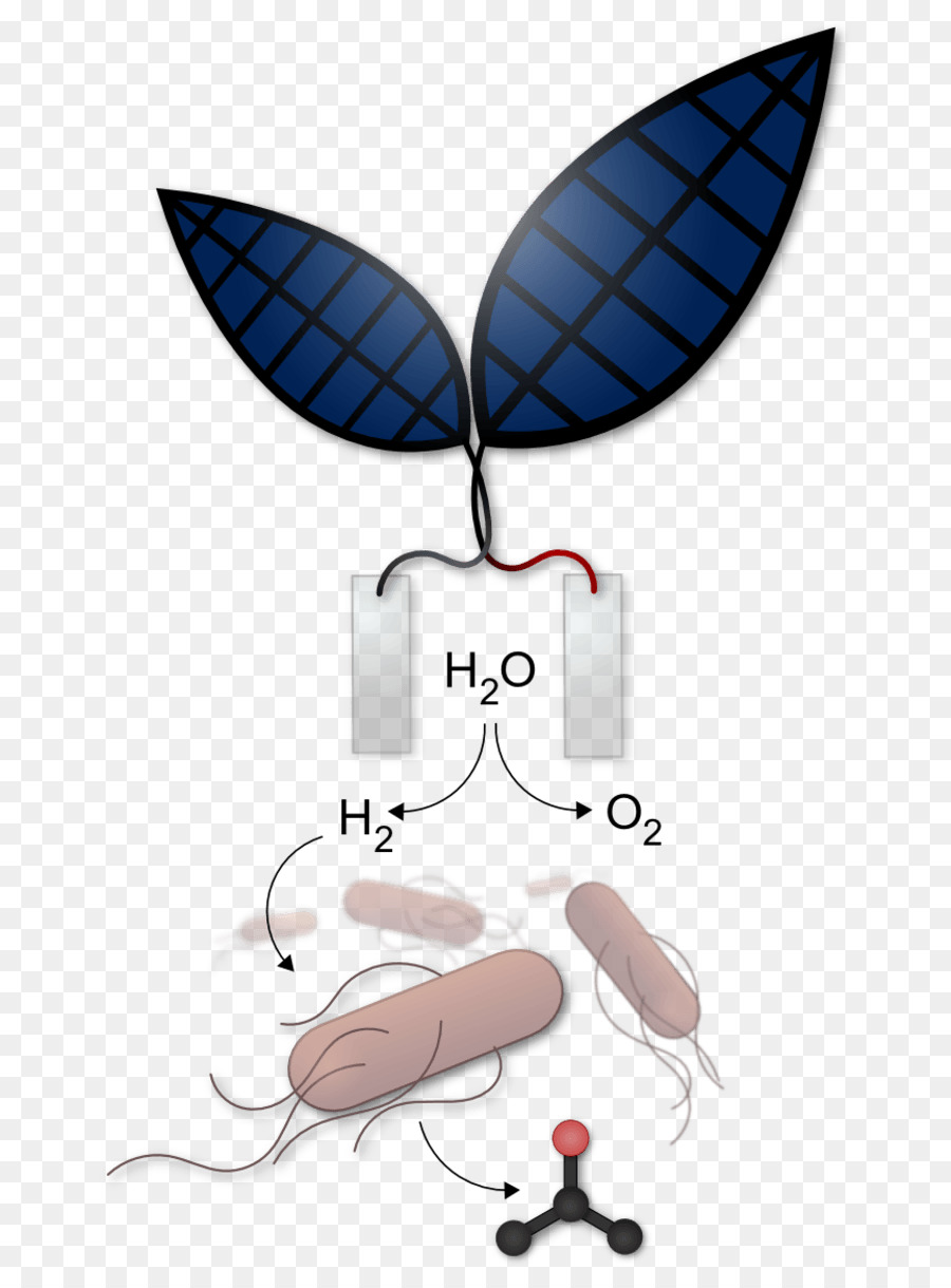 La Fotosíntesis Artificial，La Energía PNG