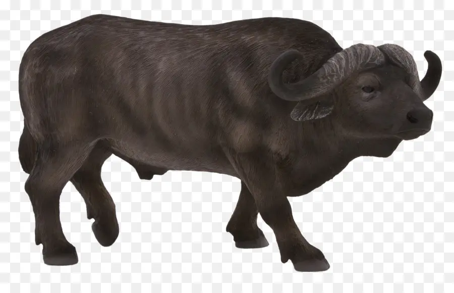 Búfalo De Agua，Bisonte Americano PNG
