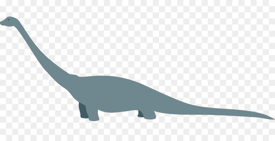 Dinosaurio，Tyrannosaurus PNG