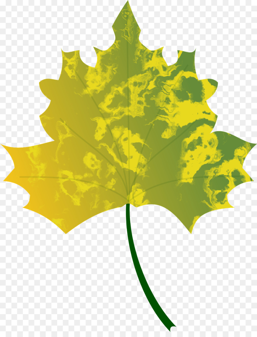 Leaf，Autumn Leaf Color PNG