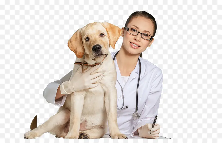 Veterinario Con Perro，Veterinario PNG