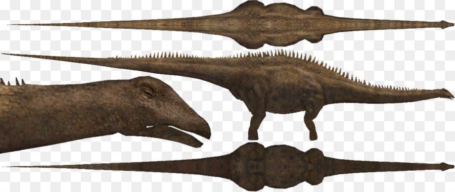 Diplodocus，Allosaurus PNG