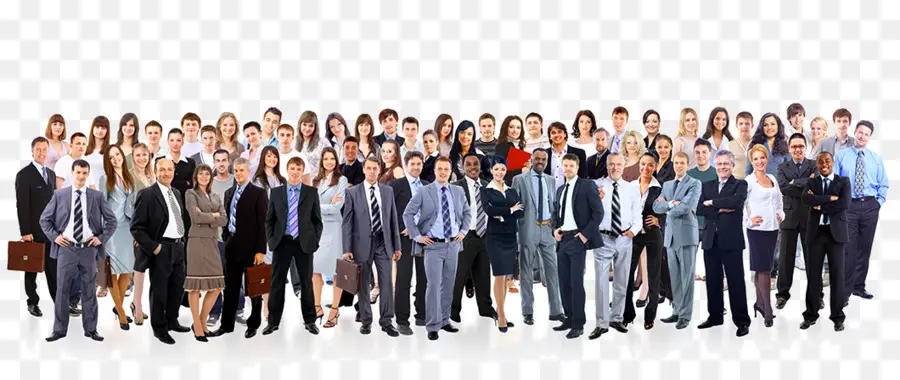 Profesional，Empleo PNG