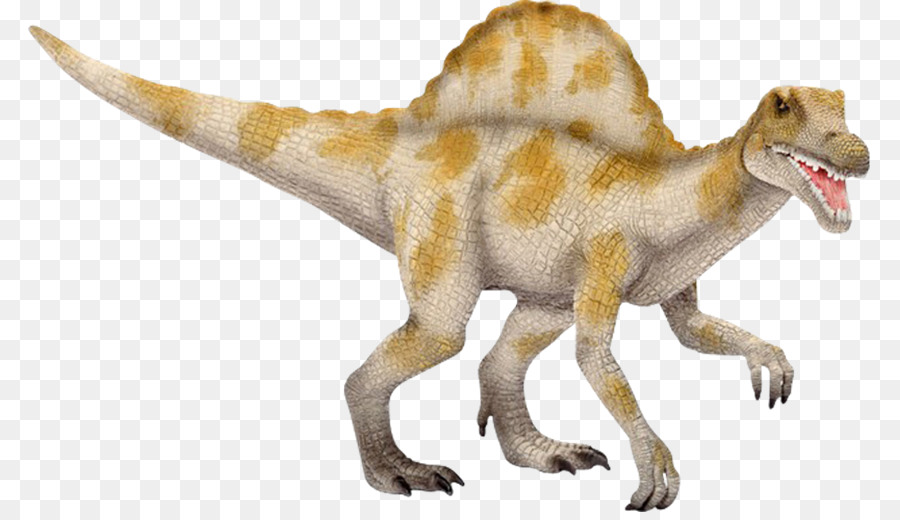 Spinosaurus，Tyrannosaurus PNG