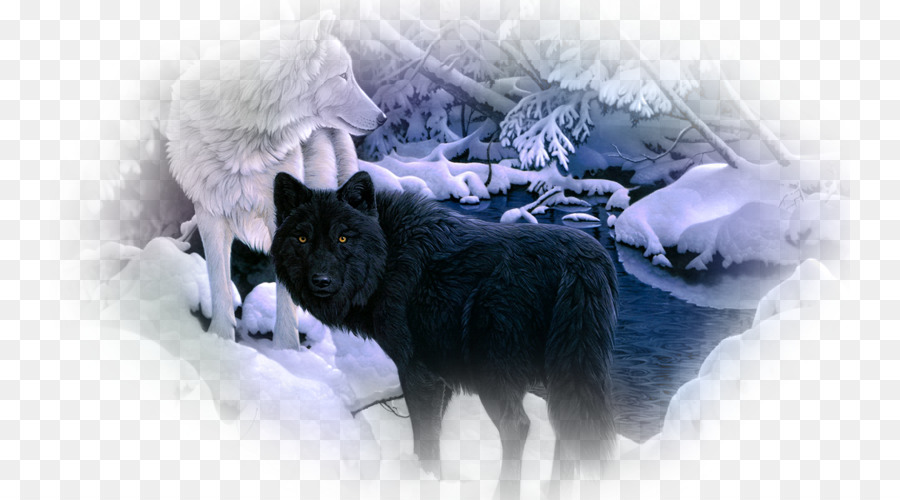 Husky Siberiano，El Lobo ártico PNG