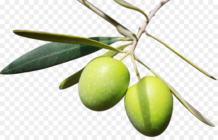 Aceitunas Verdes，Hojas PNG