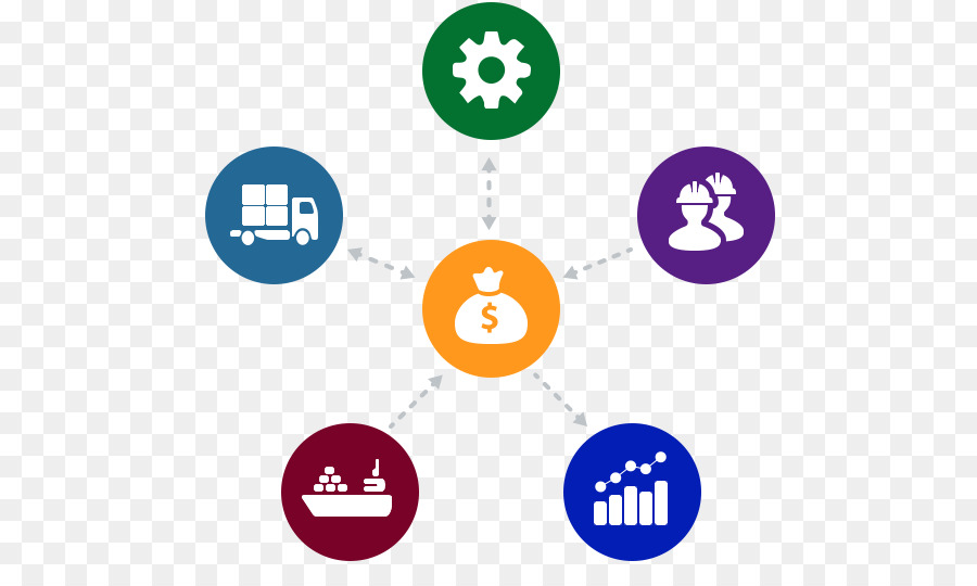 De Planificación De Recursos Empresariales，La Industria PNG