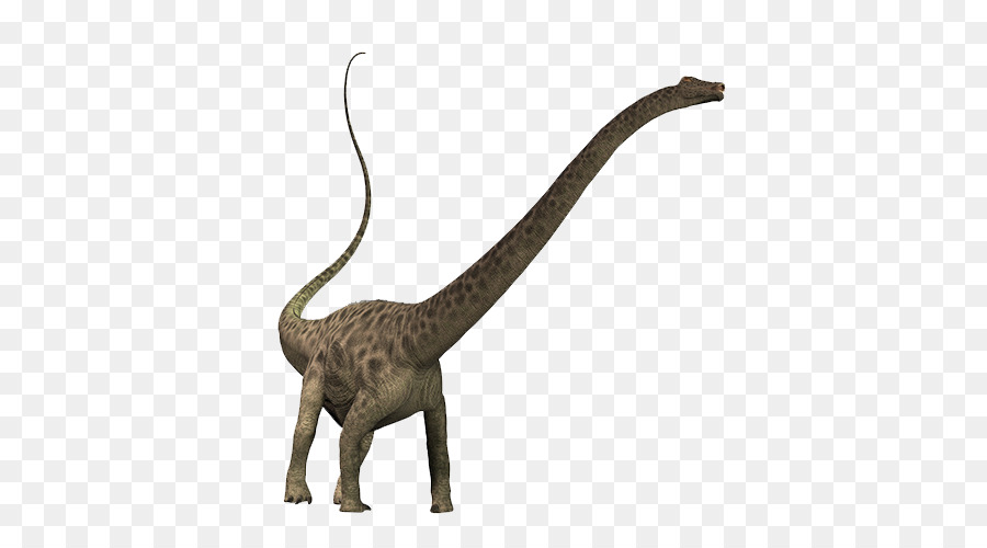 Diplodocus，Brachiosaurus PNG