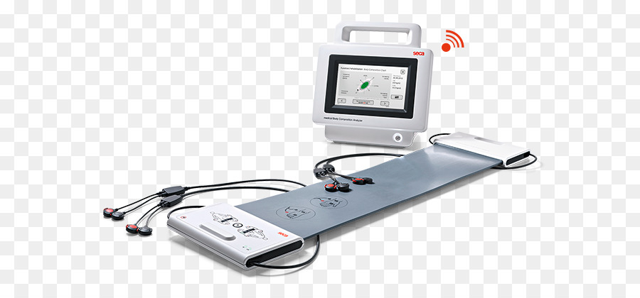 La Composición Del Cuerpo，El Análisis De Impedancia Bioeléctrica PNG