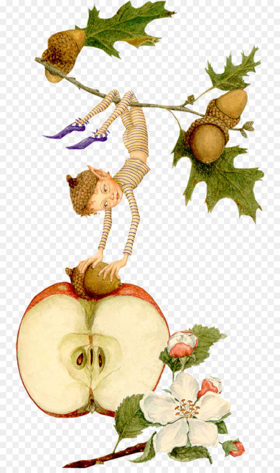 Elfo Y Manzana，Fantasía PNG