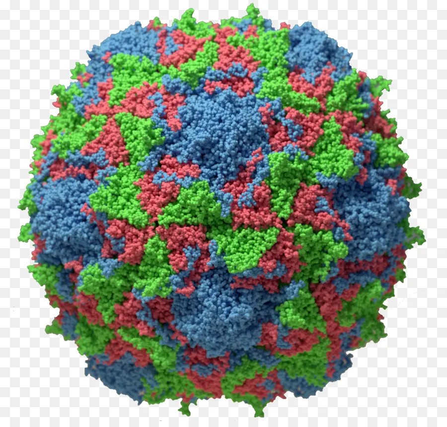 Virus，Patógeno PNG