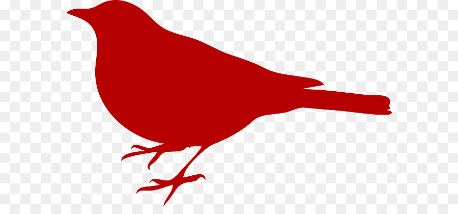 Pájaro Rojo，Pájaro PNG