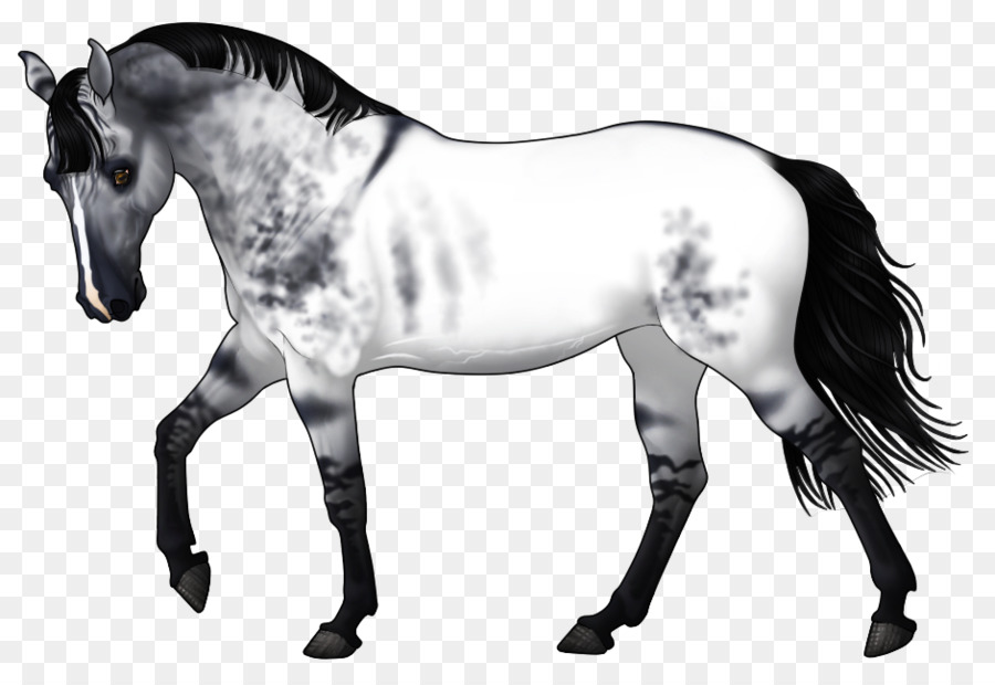 Esqueleto De Caballo，Anatomía PNG