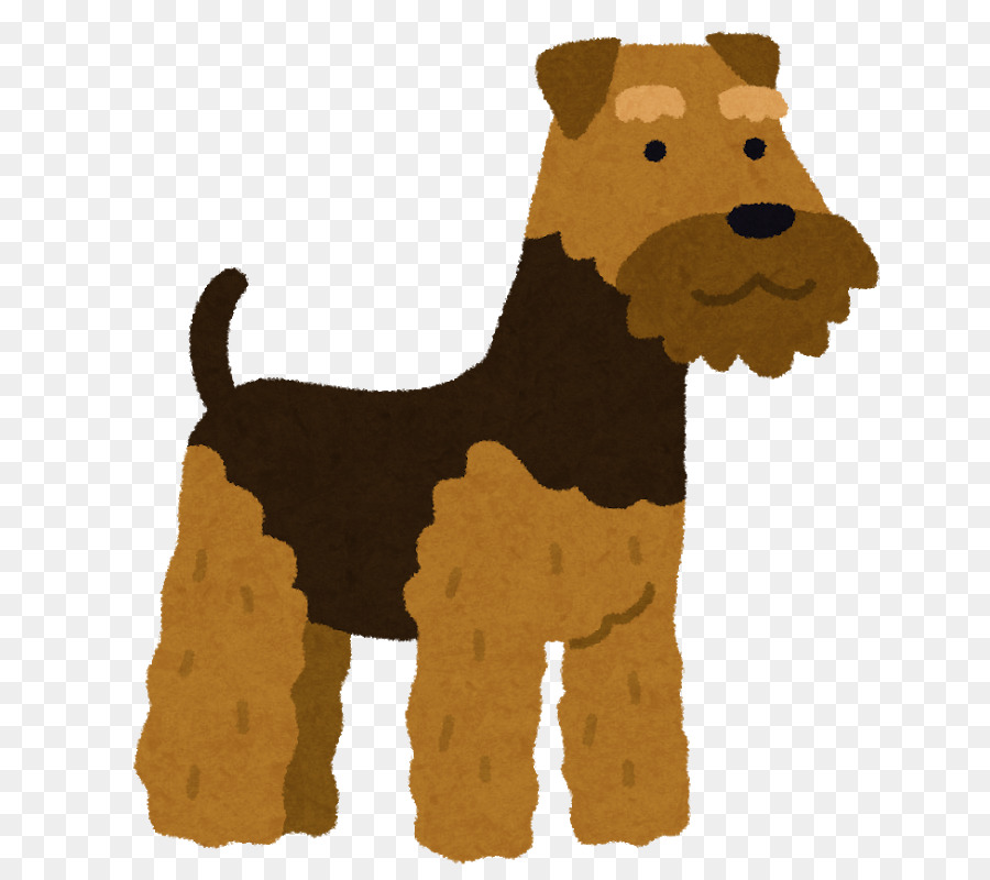 Raza De Perro，Irish Terrier PNG