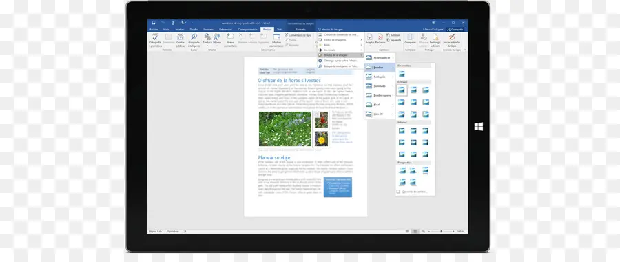 Microsoft Word，Microsoft PNG