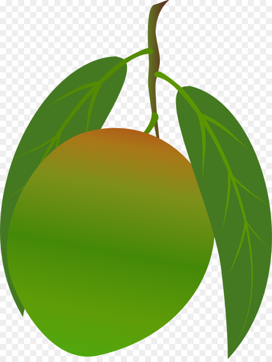 Cítricos，Mango PNG