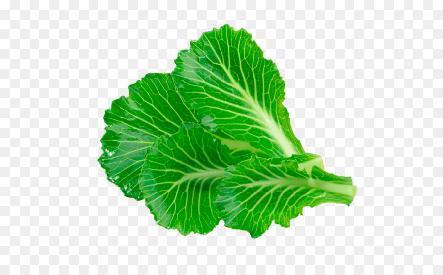 Hojas De Lechuga，Verde PNG