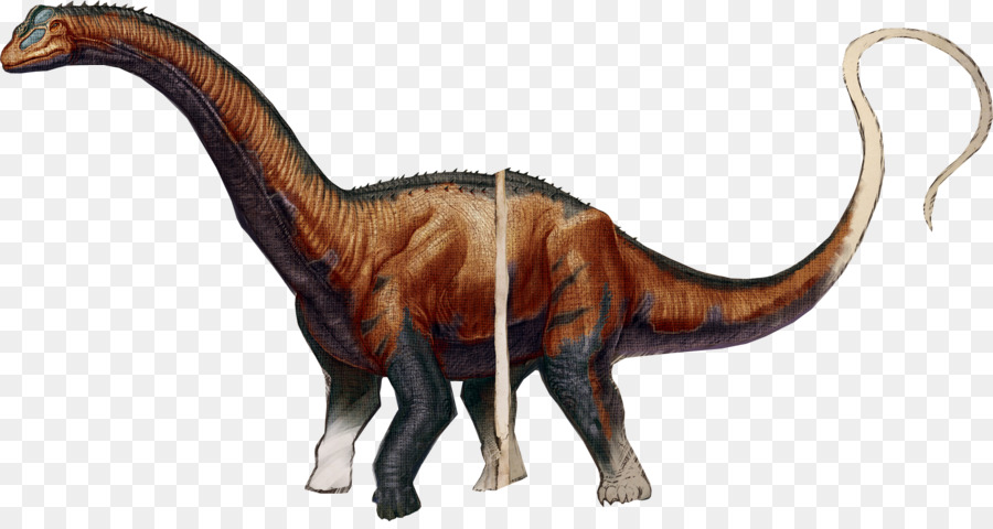 Arca De Supervivencia Evolucionado，Brontosaurus PNG