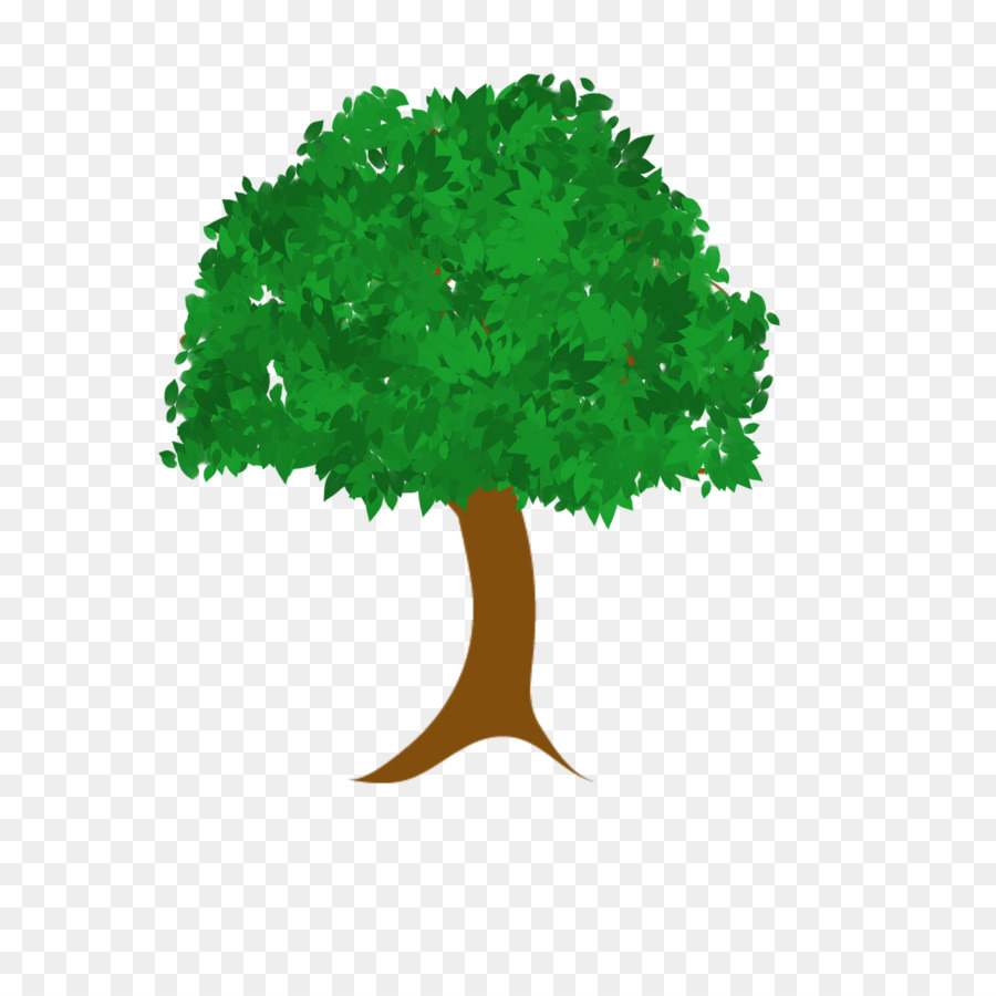 árbol Verde，Naturaleza PNG