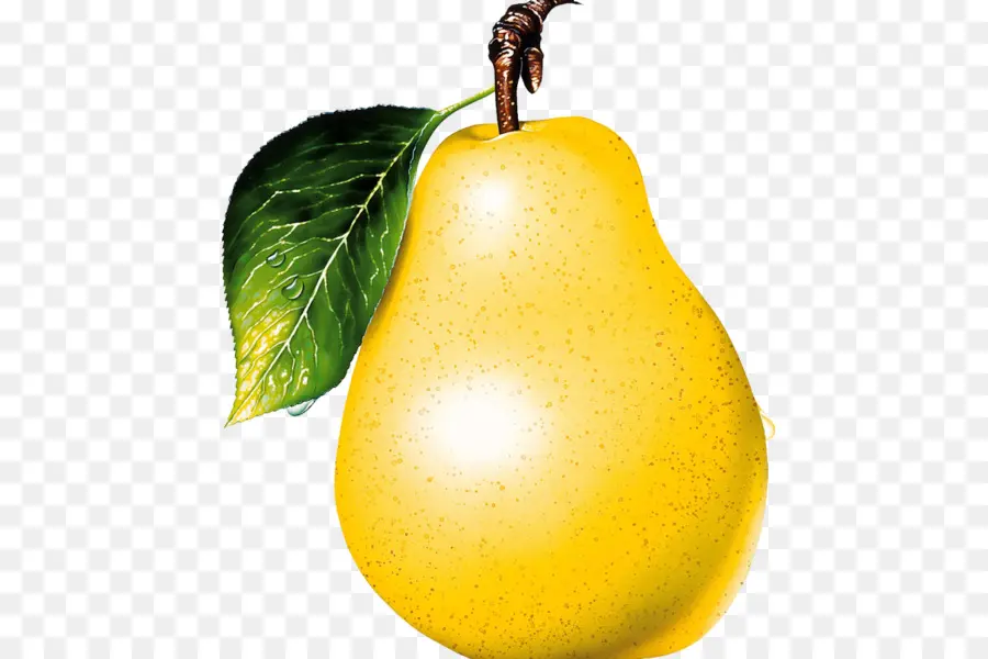 Pera Asiática，Pera Tomate PNG