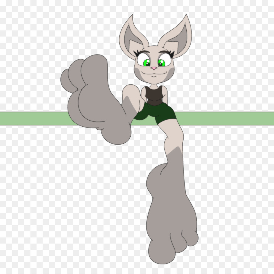 Gato，Perro PNG