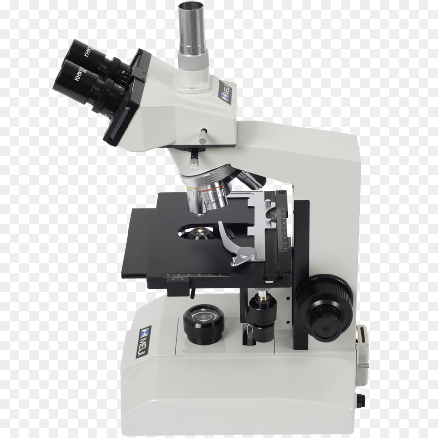 Microscopio，Ciencia PNG