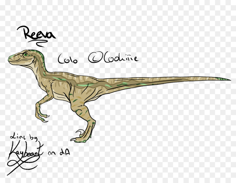 Velociraptor，Tyrannosaurus PNG